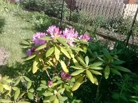 P210512_16.41.webp