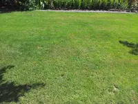 2012-05-28 11.02.10.webp
