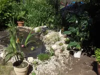 HPIM7669.webp