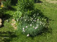 HPIM7655.webp