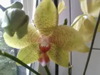 Foto0111.webp