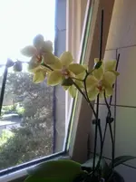 Foto0131.webp