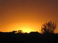 Bild 733.webp