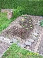 018_600x600_100KB.webp