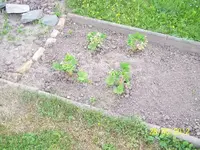 019_600x600_100KB.webp