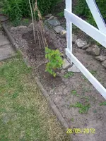 021_600x600_100KB.webp