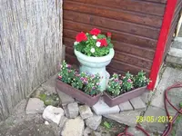 022_600x600_100KB.webp