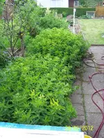 023_600x600_100KB.webp