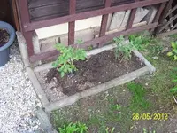 024_600x600_100KB.webp