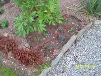 026_600x600_100KB.webp