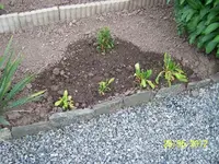 027_600x600_100KB.webp