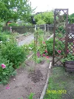 030_600x600_100KB.webp