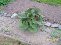 020.webp