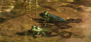 Verschnaufpause_smaller.webp