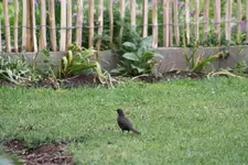 IMG_0761.webp