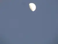 Bild 765.webp