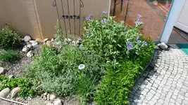 P1020835.webp