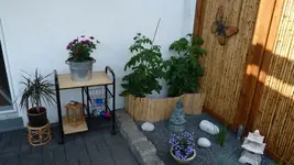 P1020851.webp