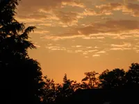 035.webp