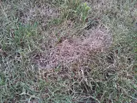 2012-05-28 20.24.25.webp