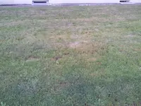 2012-05-28 20.45.04.webp