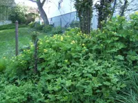 BILD1388.webp