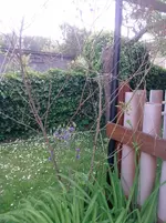 P280512_16.05.webp