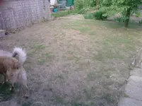 P280512_16.06.webp