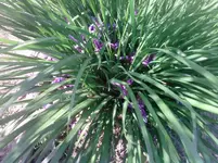 P280512_16.13.webp