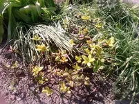 P280512_16.19.webp