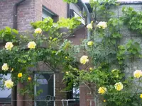 k-PICT0134.webp