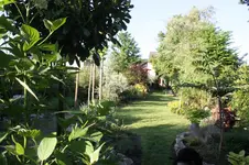 IMG_1787.webp