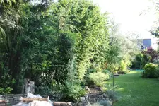 IMG_1796.webp