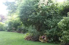 IMG_1800.webp