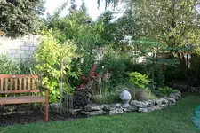 IMG_1810.webp