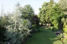 IMG_1813.webp