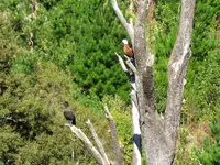 Copy of IMG_1498v.webp