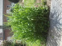 2012-05-29 14.24.30.webp