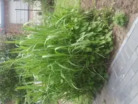 2012-05-29 14.26.03.webp