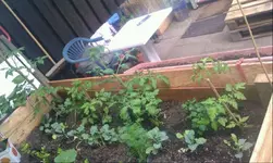 Hochbeet 1.webp