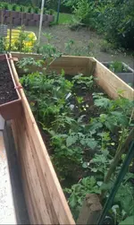 Hochbeet 2.webp