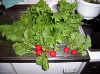 100_0698.webp