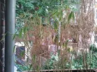 2012-05-29 18.52.33.webp