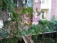 2012-05-29 18.53.00.webp