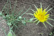 2012 05 24 034.webp