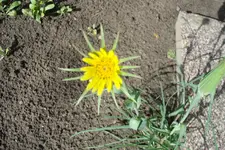 2012 05 24 045.webp