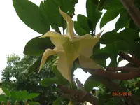 CIMG3000.webp