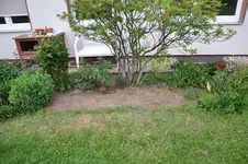 DSC_0093.webp