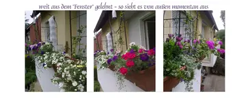 Brüstungsblick.webp