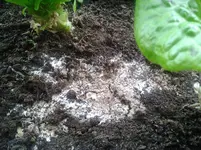 20120529_202141.webp